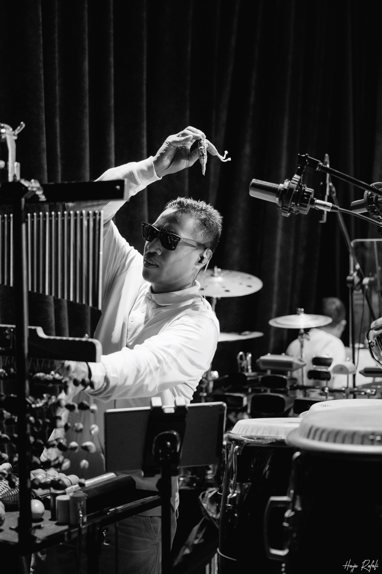concerts/vatofehizoro